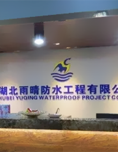 企业官网_网站建设案例—武汉盛世互联