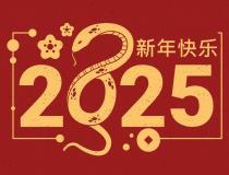 巳巳如意！武汉盛世互联蛇年春节放假通知