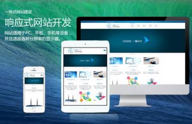 武汉网站建设:电商网站设计制作