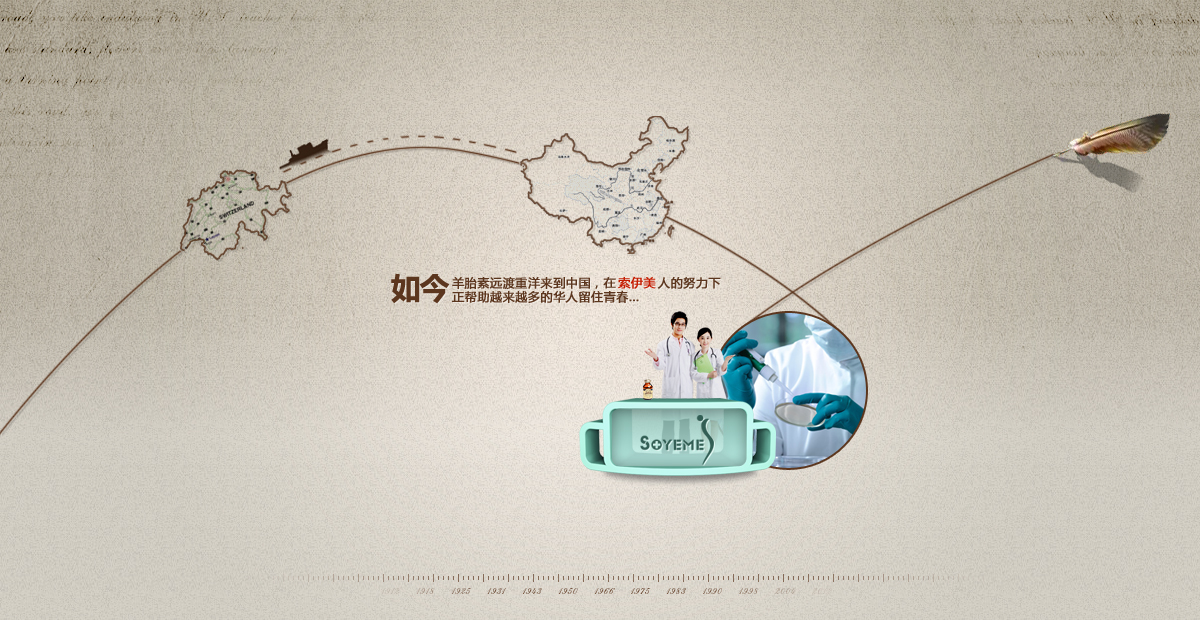 索依美网站建设案例—武汉盛世互联